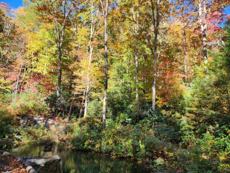 3 Lots Trout Pool Lane Property Photo 3