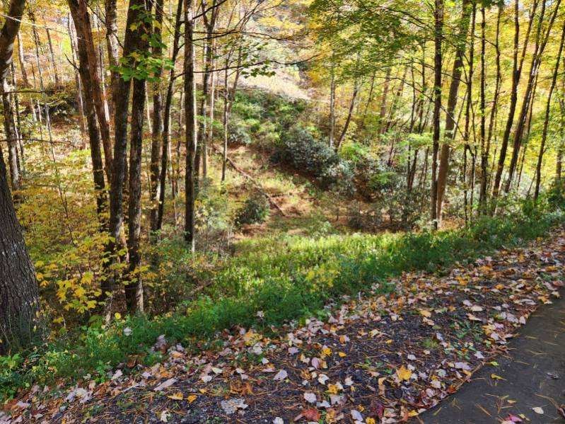 3 Lots Trout Pool Lane Property Photo 4