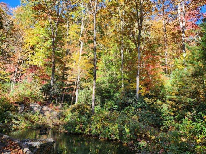 3 Lots Trout Pool Lane Property Photo 6
