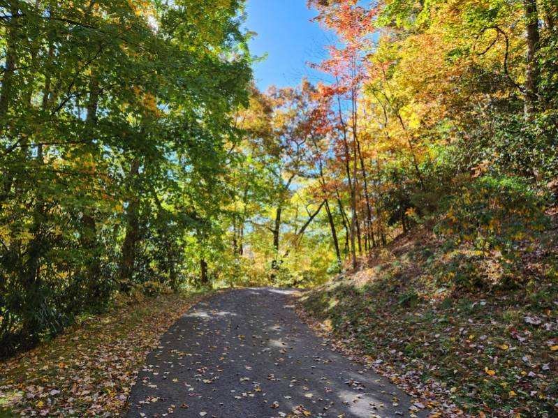3 Lots Trout Pool Lane Property Photo 8