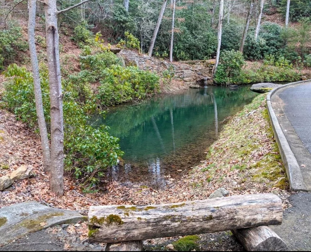 3 Lots Trout Pool Lane Property Photo 9