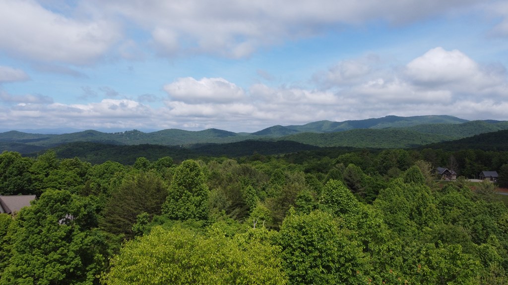 Lot 20 Yellow Maple Drive Property Photo 2