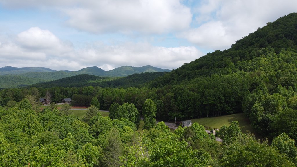 Lot 20 Yellow Maple Drive Property Photo 9
