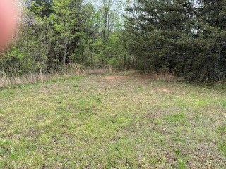 Lot 20 Yellow Maple Drive Property Photo 11
