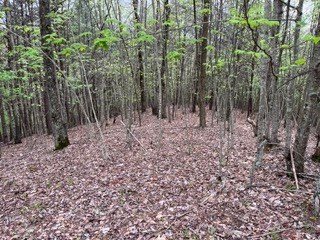Lot 20 Yellow Maple Drive Property Photo 12
