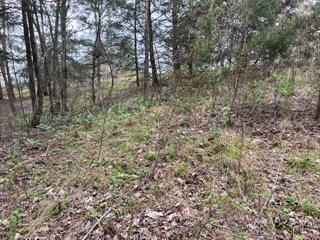 Lot 20 Yellow Maple Drive Property Photo 14