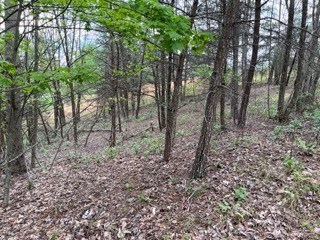 Lot 20 Yellow Maple Drive Property Photo 15