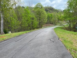 Lot 20 Yellow Maple Drive Property Photo 17