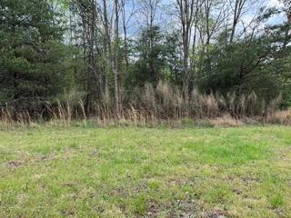 Lot 20 Yellow Maple Drive Property Photo 19