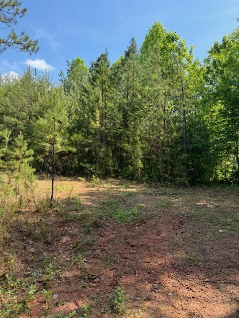 Lot 7 Paradise Mountain Property Photo