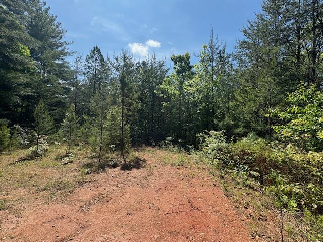 Lot 9 Paradise Mountain Property Photo