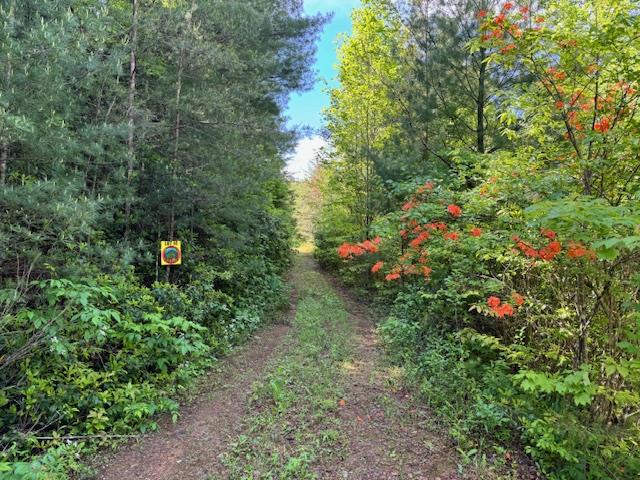 Lot 14 Paradise Mountain Property Photo