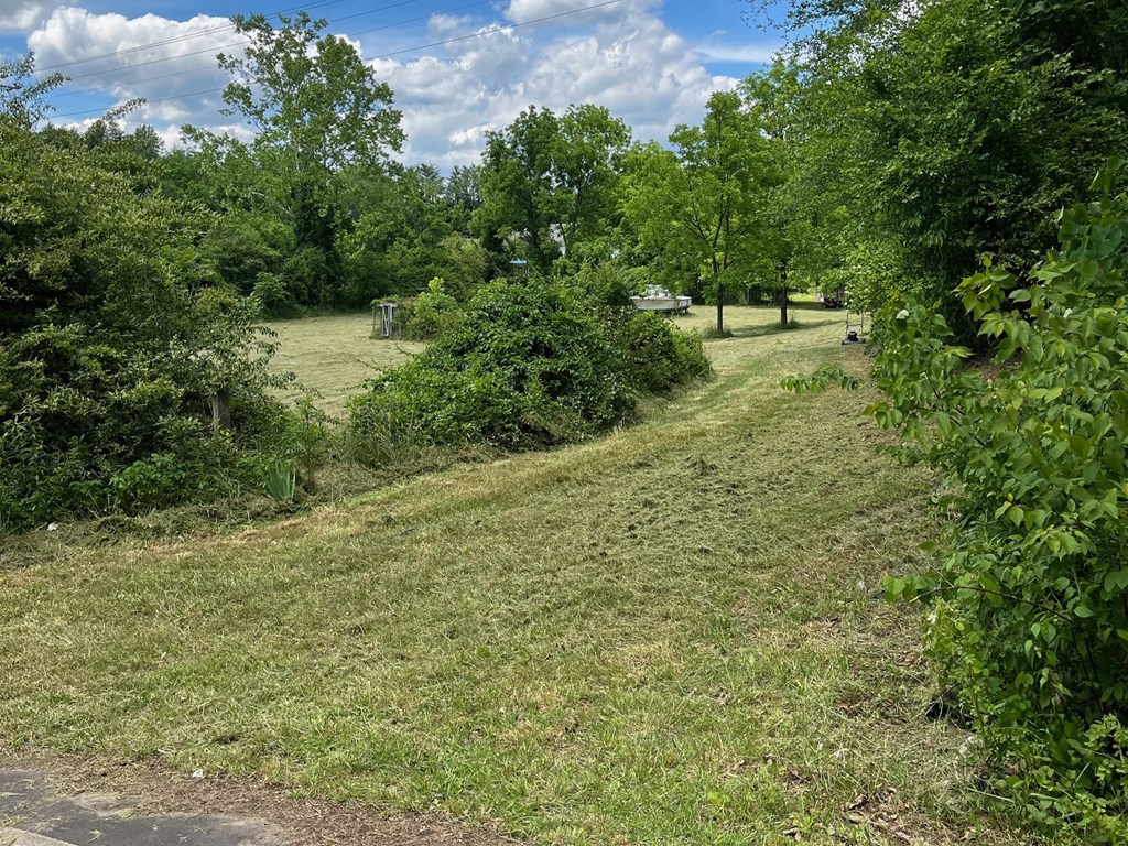 45 Green Cove Road Property Photo 2