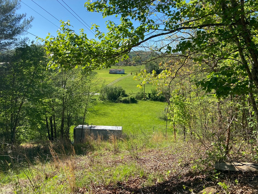 45 Green Cove Road Property Photo 8