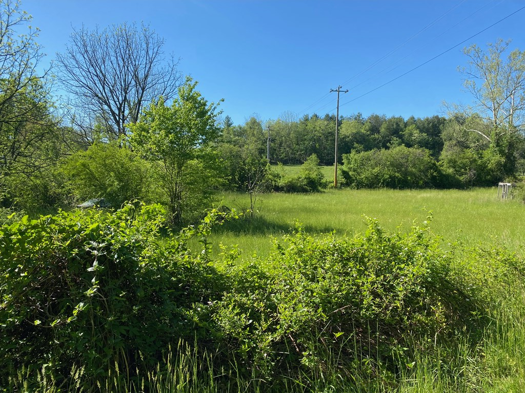 45 Green Cove Road Property Photo 10