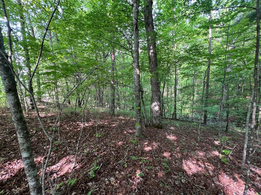 Lot 1 Weece Mountain Est Property Photo 1