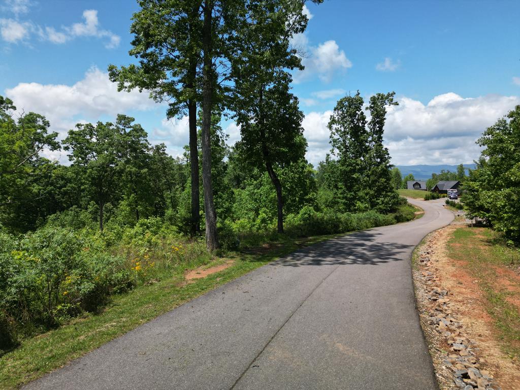Lot 29 Paw Paw Trail Property Photo