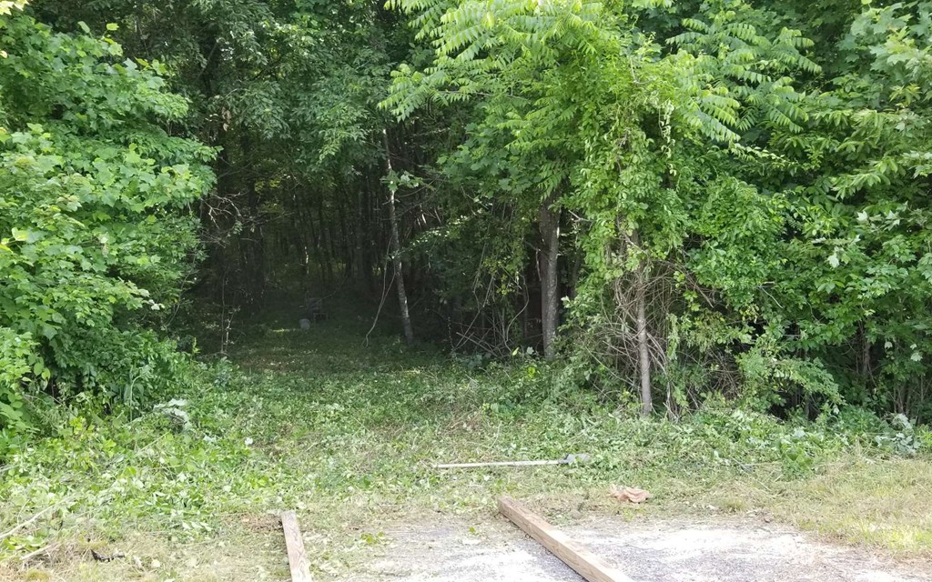1.687 Hwy 64 Property Photo 10