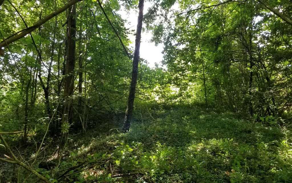 1.687 Hwy 64 Property Photo 13