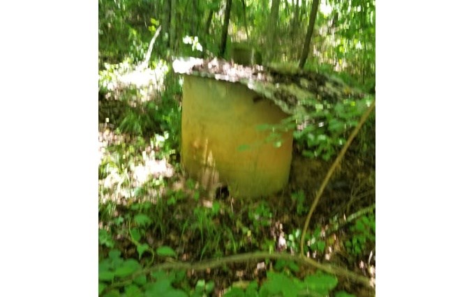 1.687 Hwy 64 Property Photo 17