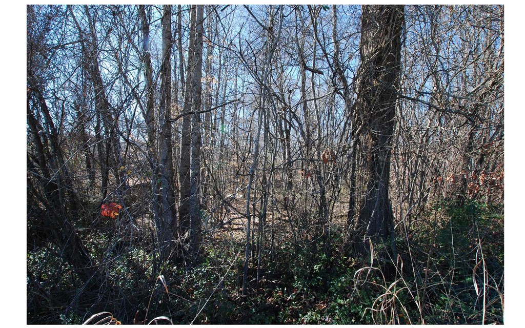 1.687 Hwy 64 Property Photo 18