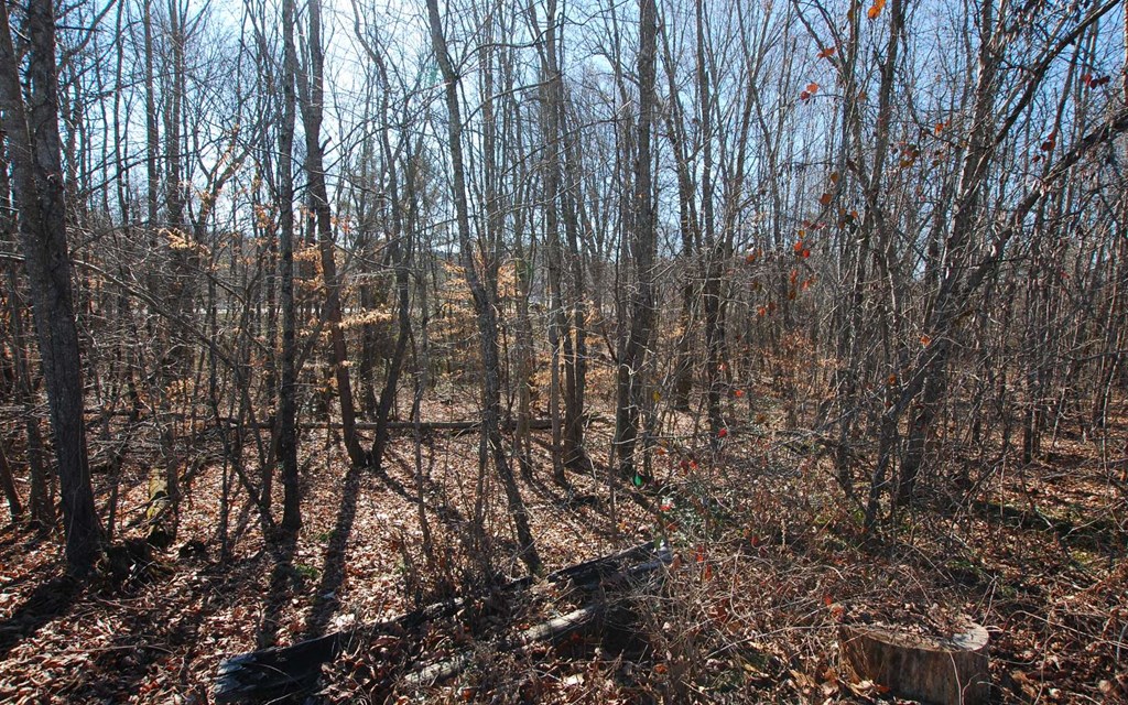 1.687 Hwy 64 Property Photo 19