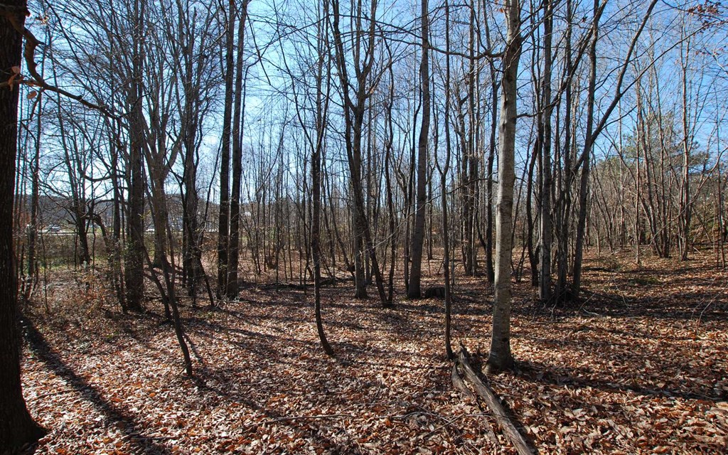 1.687 Hwy 64 Property Photo 20