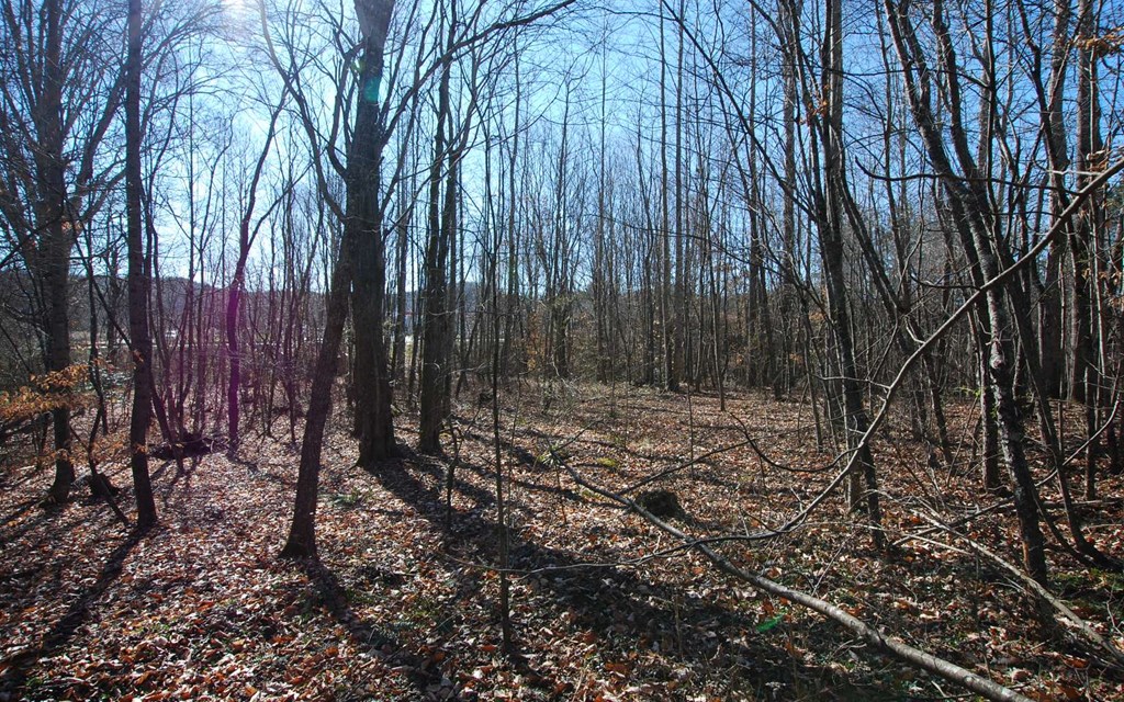 1.687 Hwy 64 Property Photo 22
