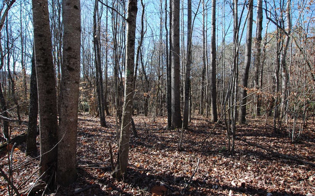 1.687 Hwy 64 Property Photo 23