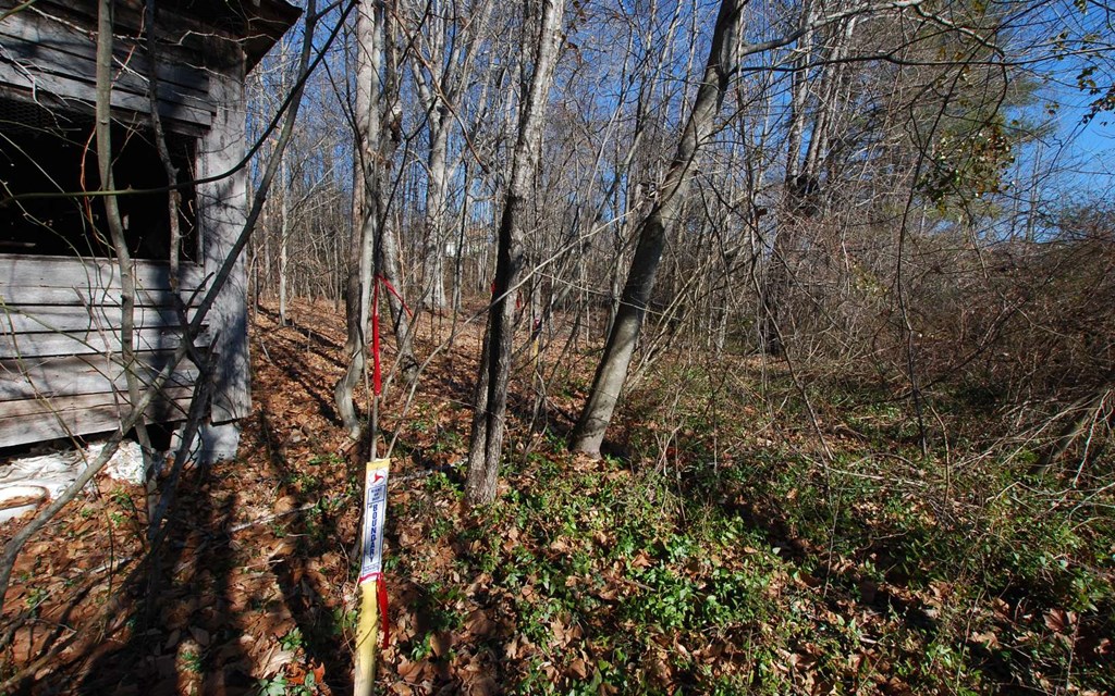 1.687 Hwy 64 Property Photo 24