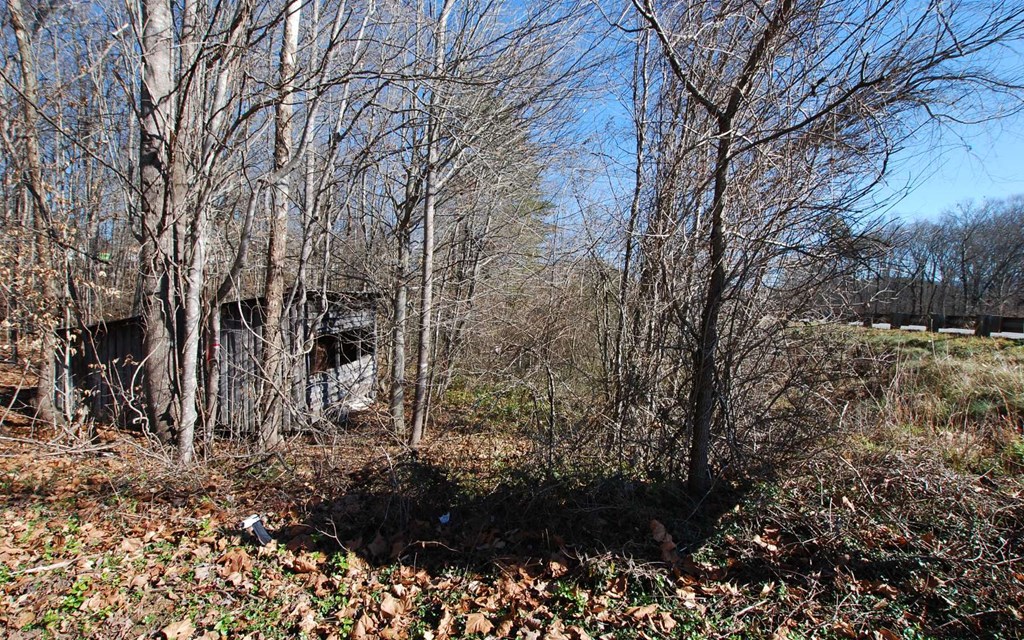 1.687 Hwy 64 Property Photo 25