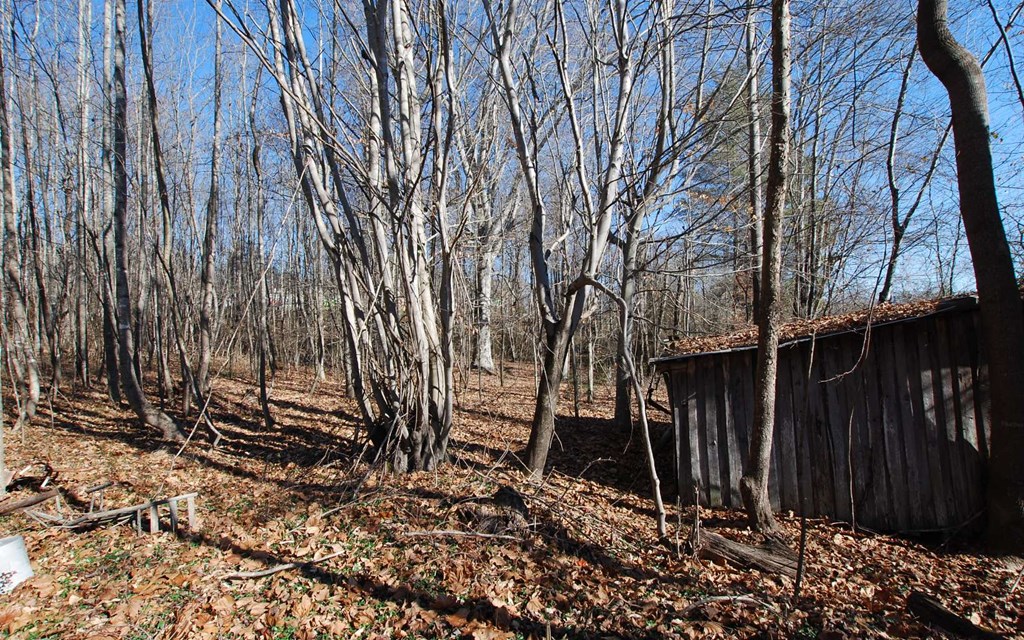 1.687 Hwy 64 Property Photo 26