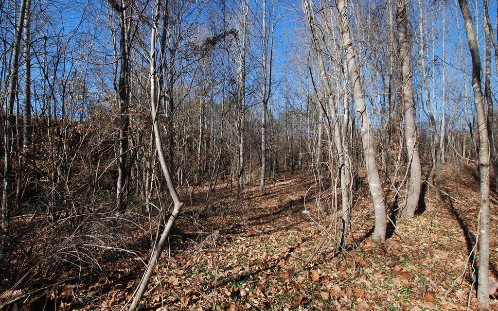 1.687 Hwy 64 Property Photo 27
