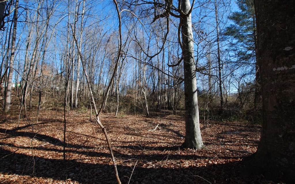 1.687 Hwy 64 Property Photo 28