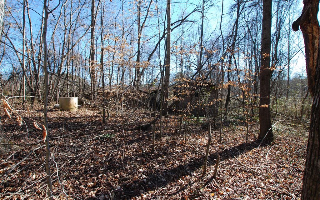 1.687 Hwy 64 Property Photo 29