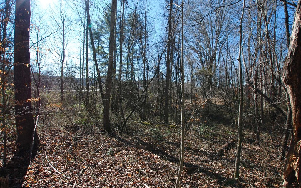 1.687 Hwy 64 Property Photo 30