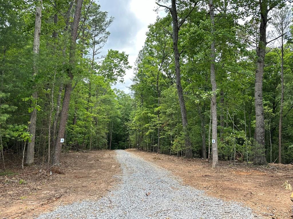 Lot #2 Brasstown Country Ln Property Photo
