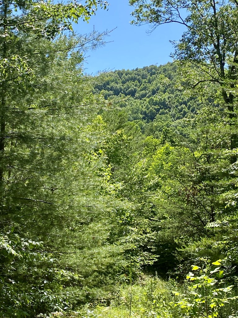 00 Deer Run Property Photo 8