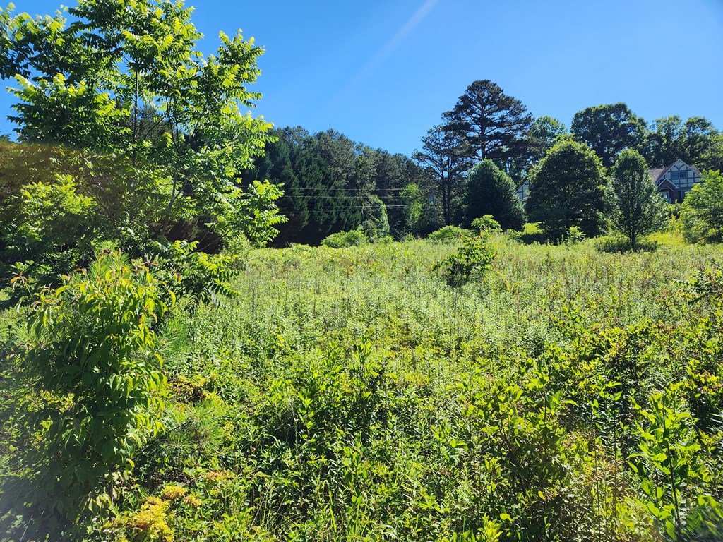 2 Montana Lane Property Photo 3