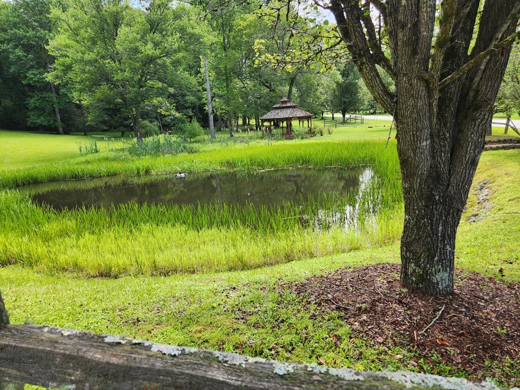 Lot 12 Shelton Springs Property Photo 3