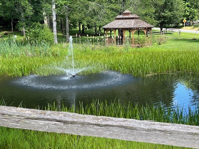 Lot 12 Shelton Springs Property Photo 6