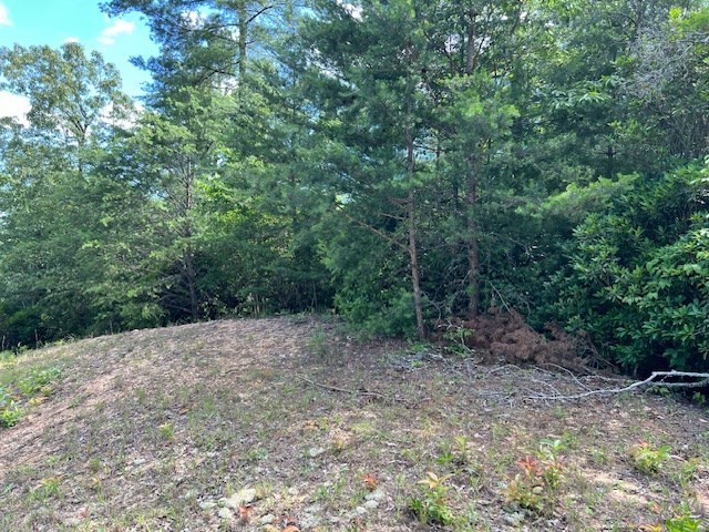 Lot 12 Shelton Springs Property Photo 7