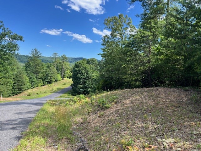 Lot 12 Shelton Springs Property Photo 8