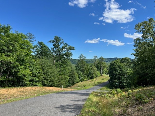 Lot 12 Shelton Springs Property Photo 9
