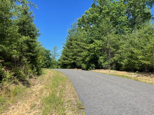Lot 12 Shelton Springs Property Photo 10