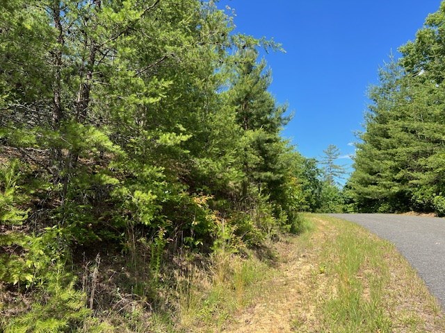 Lot 12 Shelton Springs Property Photo 11