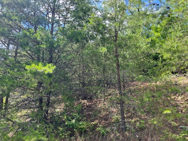 Lot 12 Shelton Springs Property Photo 13