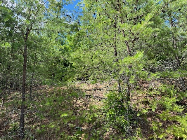 Lot 12 Shelton Springs Property Photo 15