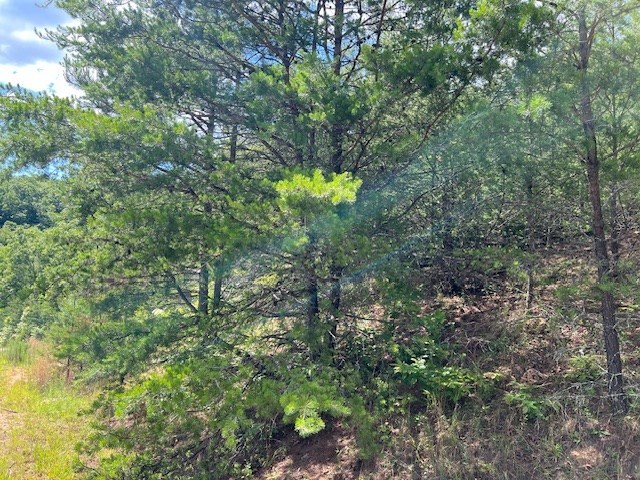 Lot 12 Shelton Springs Property Photo 16