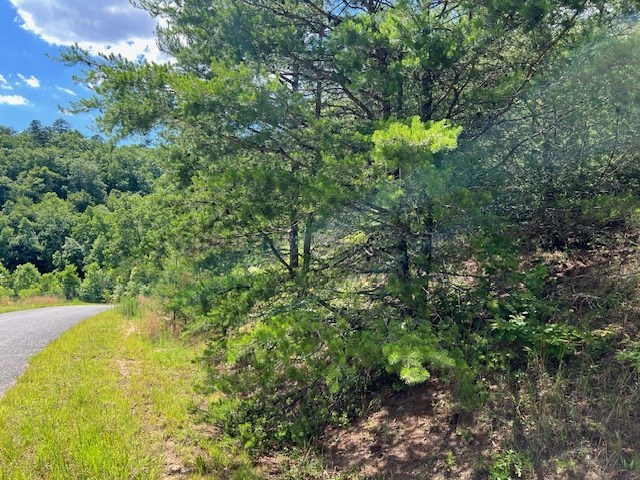 Lot 12 Shelton Springs Property Photo 17